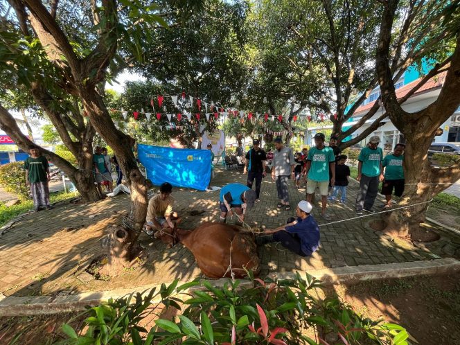 
					PLN UP3 Pekalongan Laksanakan Qurban Idul Adha, Maknai Arti Pengorbanan dan Keikhlasan