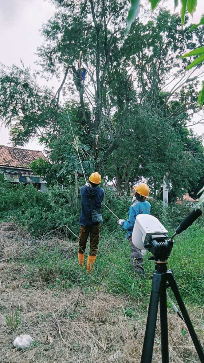 
					Kolaborasi Pemeliharaan Terpadu Untuk Jaga Keandalan Listrik Sambut Hari Raya Idul Adha 1446 H
