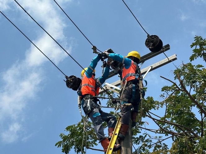 
					PLN UP3 Kudus Laksanakan Pemeliharaan Gabungan untuk Pastikan Keandalan Listrik di Momen HUT RI ke-80