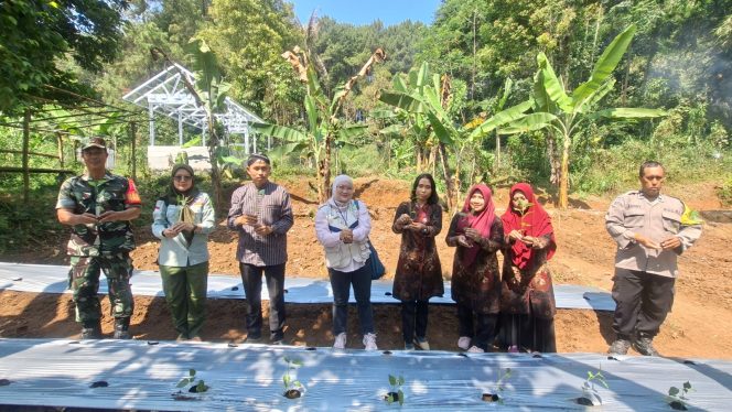 
					PLN Peduli UP3 Pekalongan Beri Bantuan Pembibitan Organik Untuk KWT Srikandi Asri, Dukung Pemberdayaan Perempuan di Desa Linggoasri